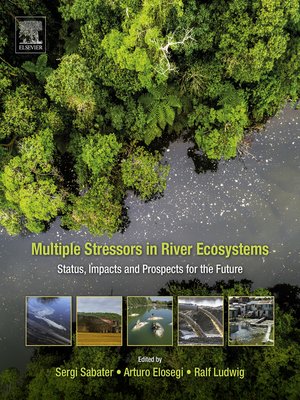 cover image of Multiple Stressors in River Ecosystems